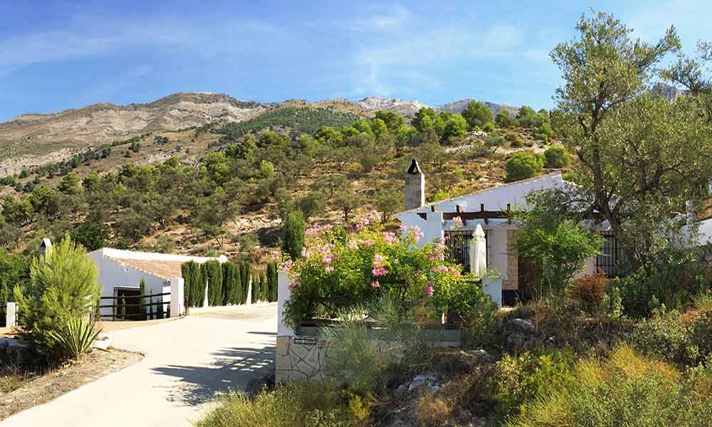 casa lobera Canillas de Aceituno Axarquia