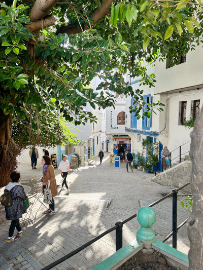 Tanger pedestrian zone in the shadow of a tree