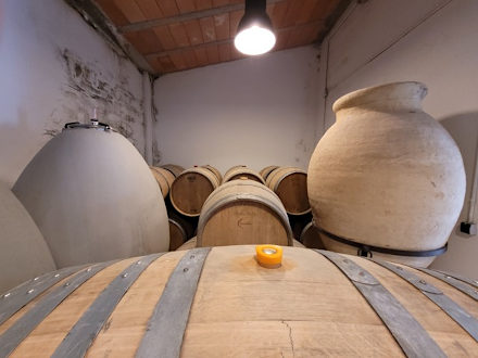 De wijnkelder van Sedella Wines met wijnvaten ©Rasja Post