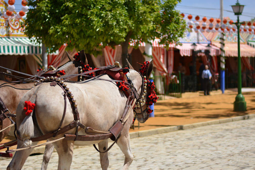 Feria in Malaga with traditional horse-drawn carts