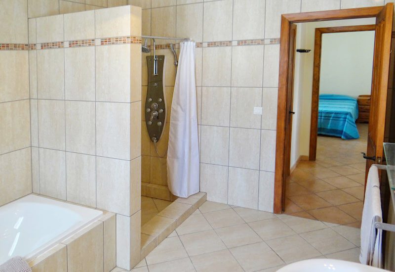 Bathroom has not also bath tube and big shower