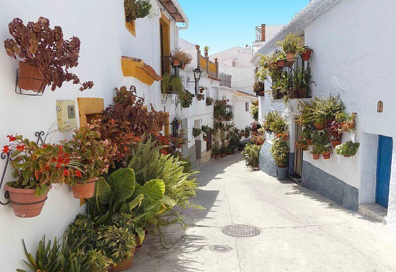 beautiful traditional andalusian street with lots of flowers in the sunshine.