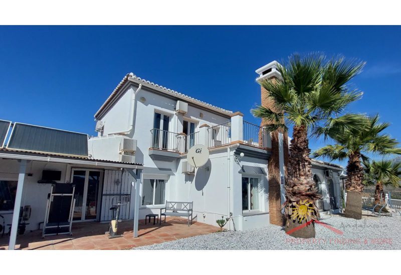 The rear of the villa with terrace and palms