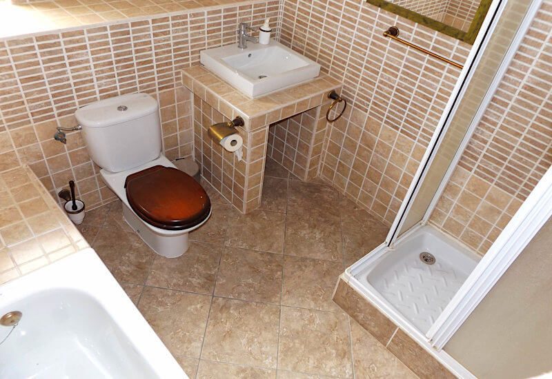 Foto van de badkamer met toilet, douche en buis.