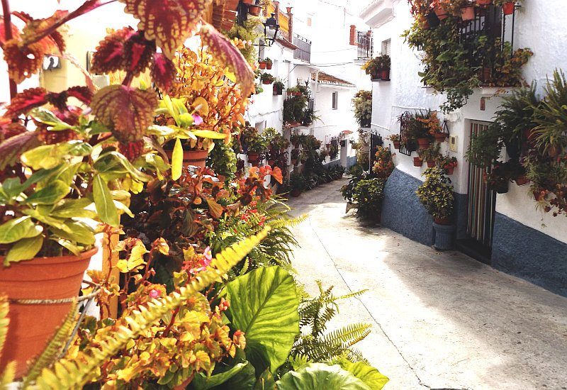 Traditional street in Canillas de Aceituno with a lot of flowers.