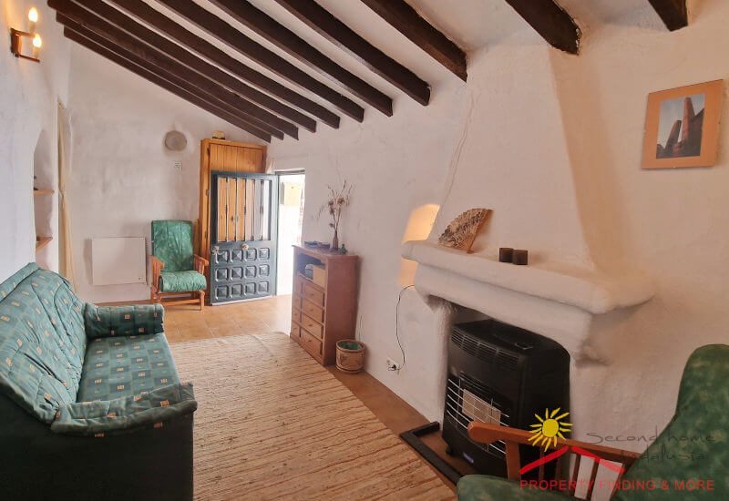 Salon met ingang en open haard voor de winter