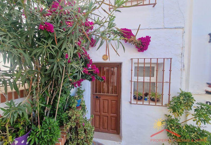 Vanaf de patio de deur naar de kunstkamer