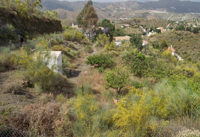 Garden and land boundary of Casa La Galivanes in the Axarquía