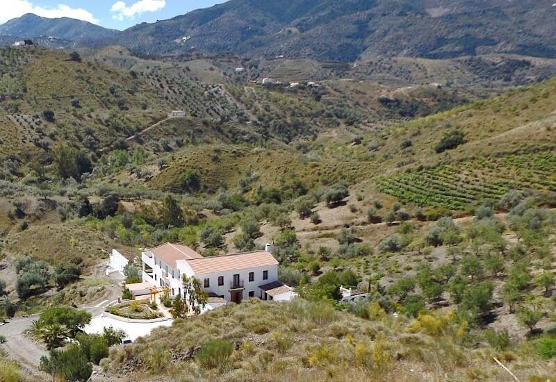 Het landhuis in het heuvelachtige landschap met wijnranken en olijfbomen 