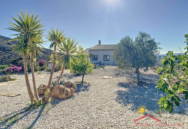 Big parking area with gravel and some palms