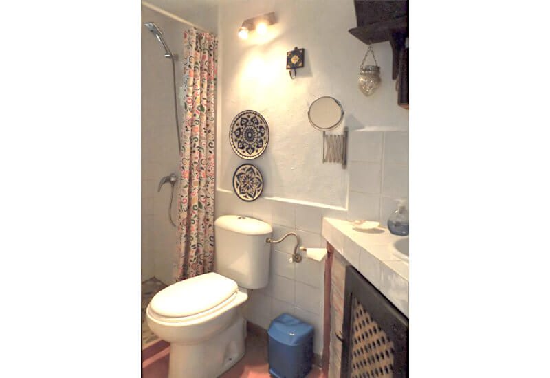 Rustical shower room with toilette end corner basin