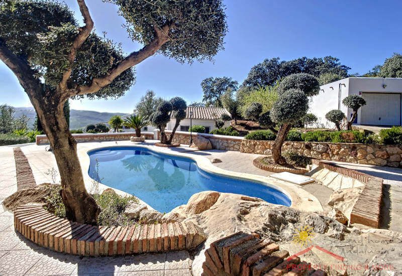 Pool in kidney format and garden with olive trees