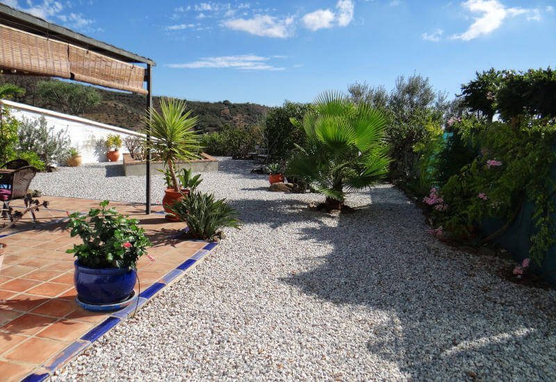 well-kept garden in front of the house with large plants