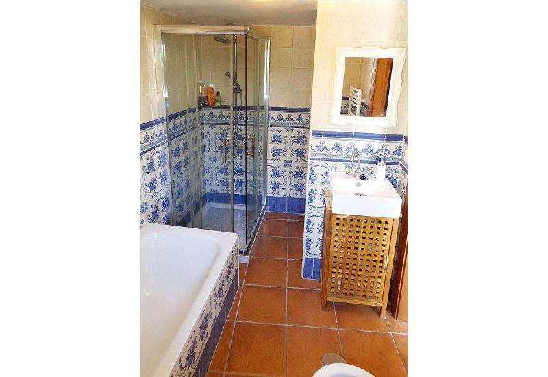 Big bathroom with tube and shower as well as a toilette.