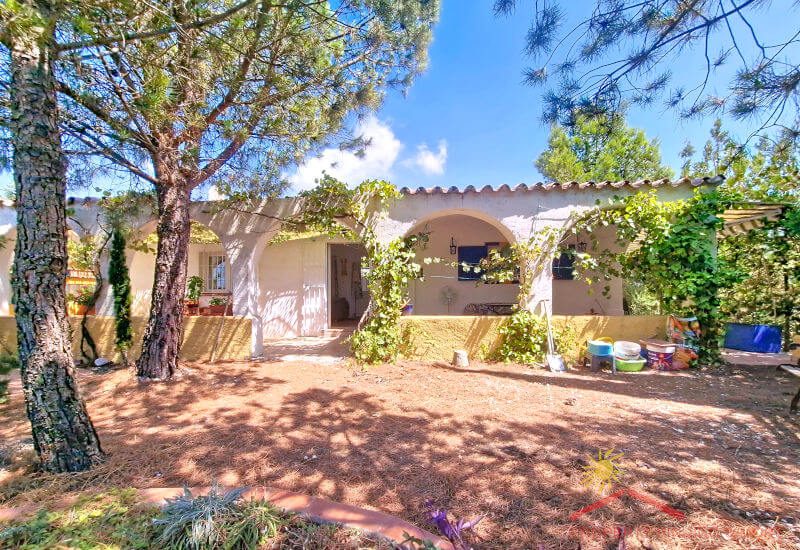 Large side terrace in the sun with trees