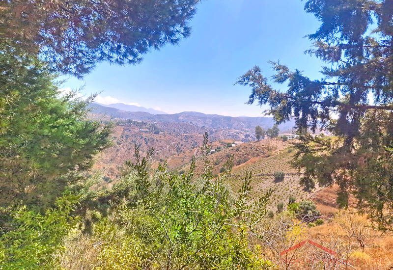 Aussicht von der Terrasse zwischen den Bäumen auf die Hügel der Axarquia
