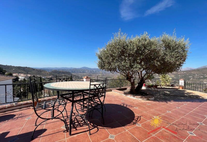On the terrace there is a place for outdoor dining and a olive tree at the side