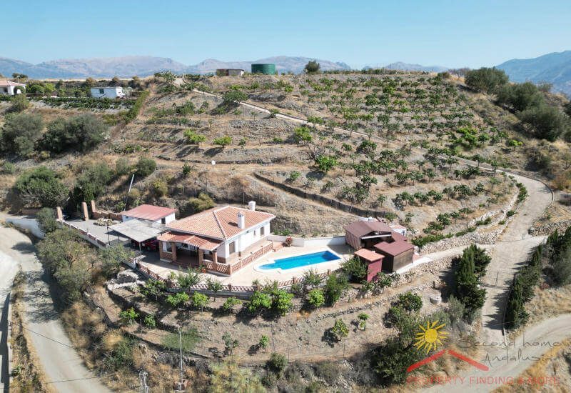 overzicht van de gebouwen van de Finca met de omringende mangobomen