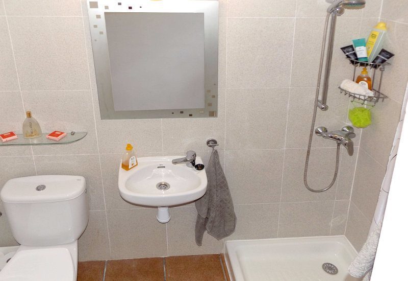 Typical modern townhouse Master shower with toilette, washbasin and shower.