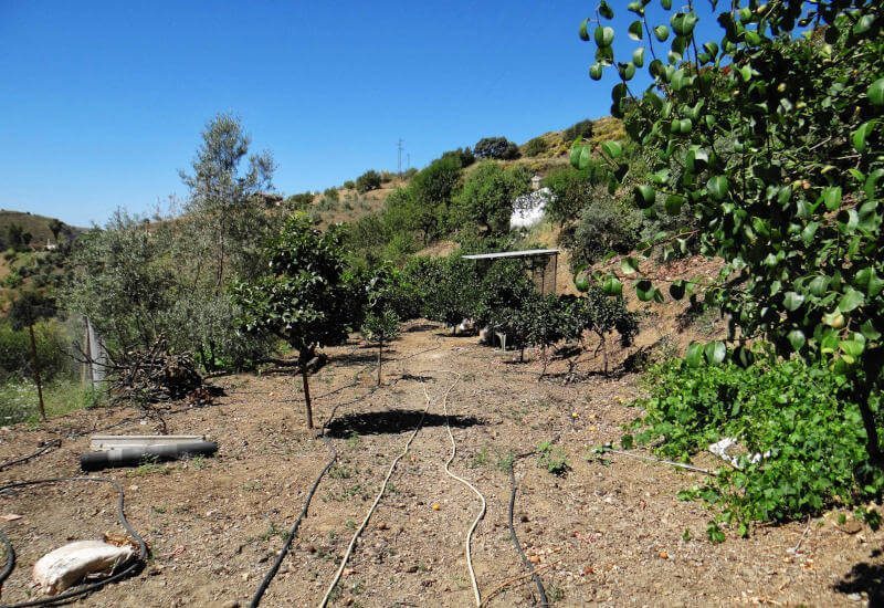 The property has been equipped with an irrigation system.