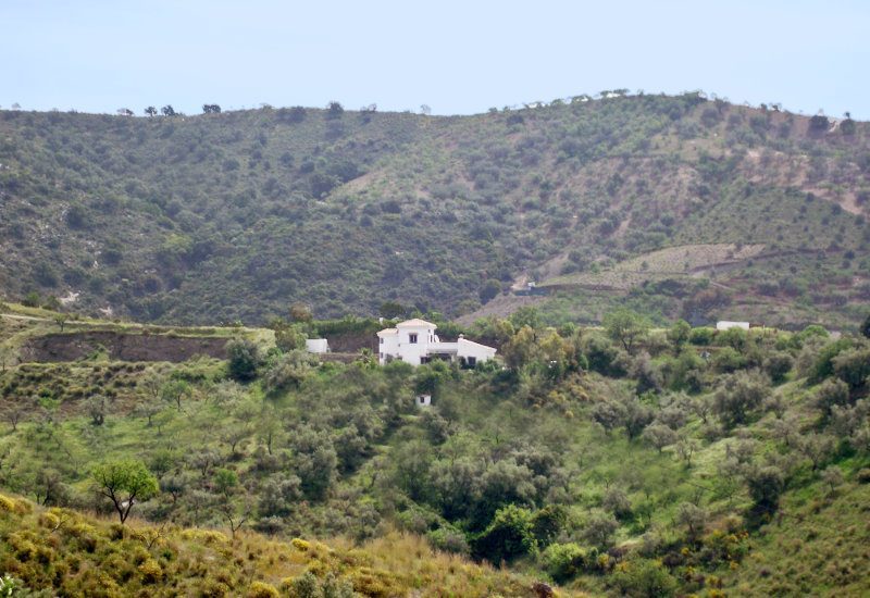 Casa Churrispa in the campo of Sedella from a distant surrounded by green trees and bushes