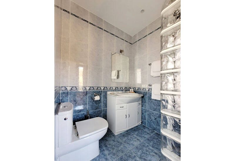 Corner room bathroom with white and blue tiles and a shower.