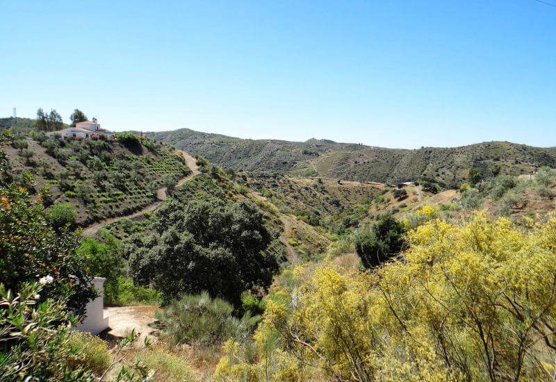 Schöne Aussicht über die hüllegige Axarquia mit Bepflanzung