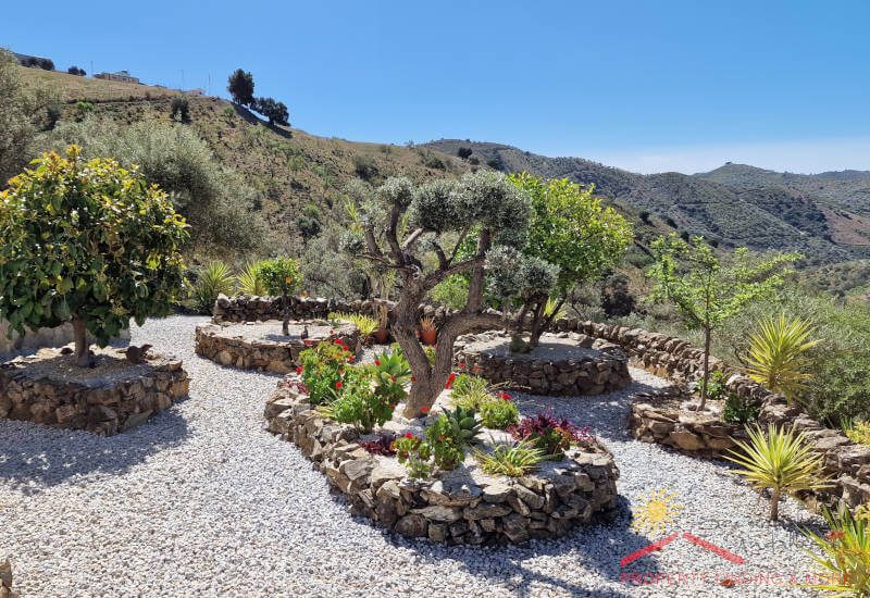 der sonnige Obstgarten bietet eine schöne Aussicht und Platz für schöne Sitzgelegenheiten