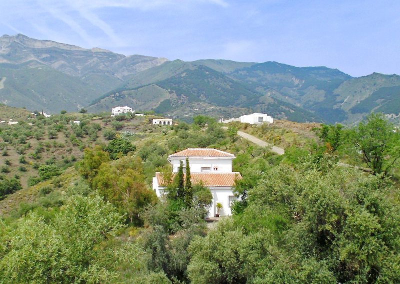 The white house for sale in the middle of the land with distant neighbours.