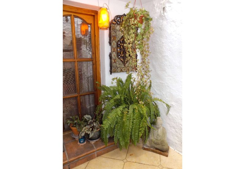 Romantische deur van studio naar binnenplaats.