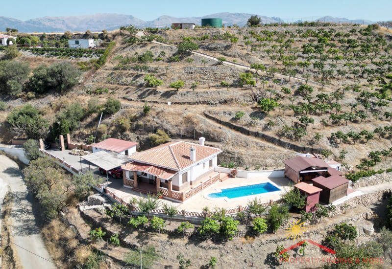 Overzicht van de finca gebouwen en de mangobomen