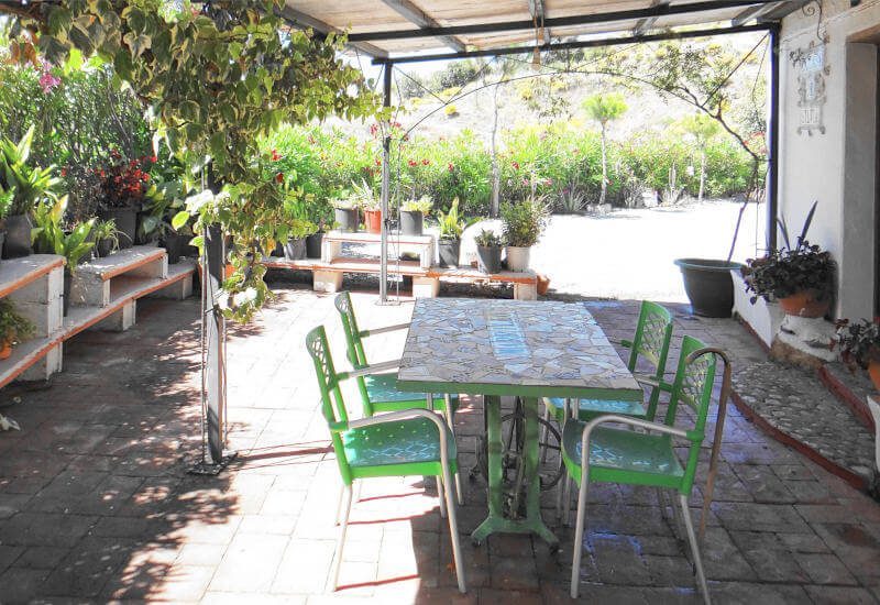 Die vordere Terrasse mit großem Tisch und vielen Pflanzen