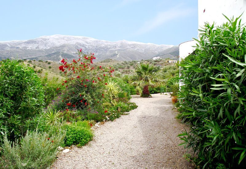 Casa Churrispa is omgeven door planten en het uitzicht is magnifiek.