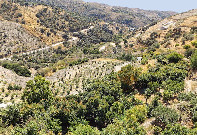 View on the valley of Sedella with the access road from the roof terrace