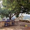 Sit on the Communal terrace in Salares under the tree in the shadow