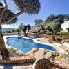 Pool in kidney format and garden with olive trees