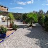 Well kept garden in front of the house with large plants well-kept garden in front of the house with large plants