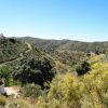 Aussicht Schöne Aussicht über die hüllegige Axarquia mit Bepflanzung