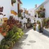 Schöne traditionelle andalusische Straße mit vielen Blumen im Sonnenschein.