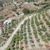 Overzicht van de tuin boven de Finca Bovenaanzicht van de mangotuin met de zandweg in het midden