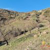 Platteland