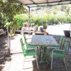 Vordere Terrasse Die vordere Terrasse mit großem Tisch und vielen Pflanzen