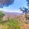 Aussicht Aussicht von der Terrasse zwischen den Bäumen auf die Hügel der Axarquia