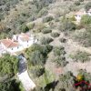 Casa Palomero & Bellota