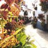 Traditionele straat in Canillas de Aceituno met veel bloemen.